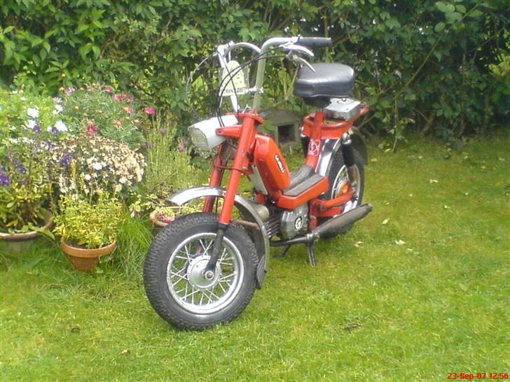 Garelli Katia billede 2