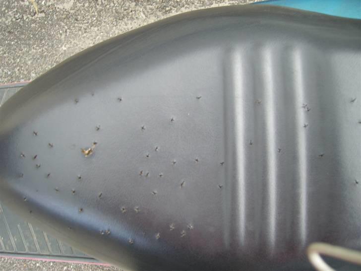 Sym Jet 50 *solgt* billede 6