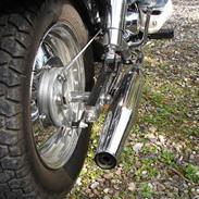 Regal 50QE-3     "Smadret"