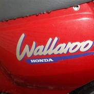 Honda wallaroo