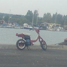 Suzuki FZ (Før) Solgt