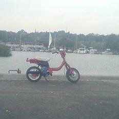 Suzuki FZ (Før) Solgt