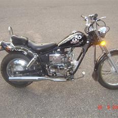 Regal Raptor // Solgt