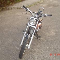 Regal Raptor // Solgt