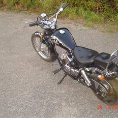 Regal Raptor // Solgt