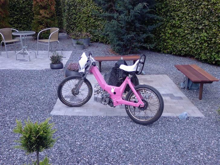 Puch Maxi *Bunny* billede 1