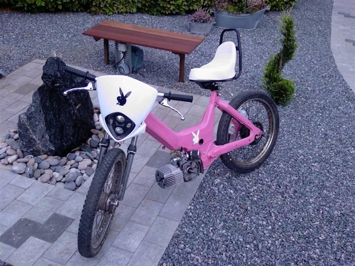 Puch Maxi *Bunny* billede 2