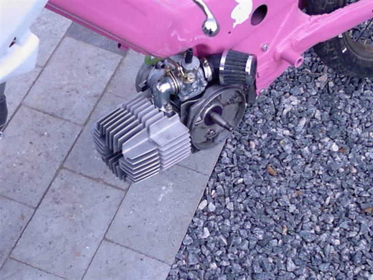 Puch Maxi *Bunny* billede 4