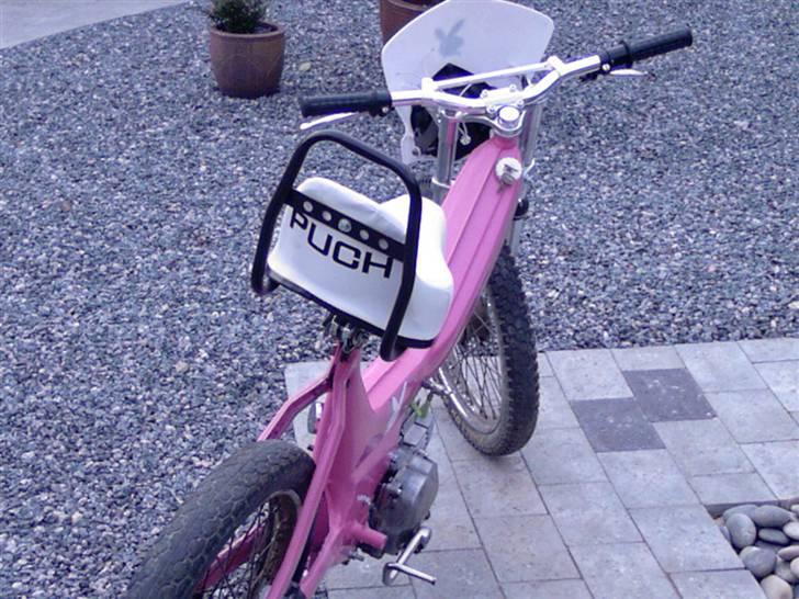 Puch Maxi *Bunny* billede 5