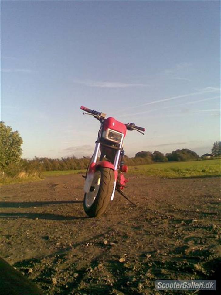 Suzuki street magic (solgt) billede 4