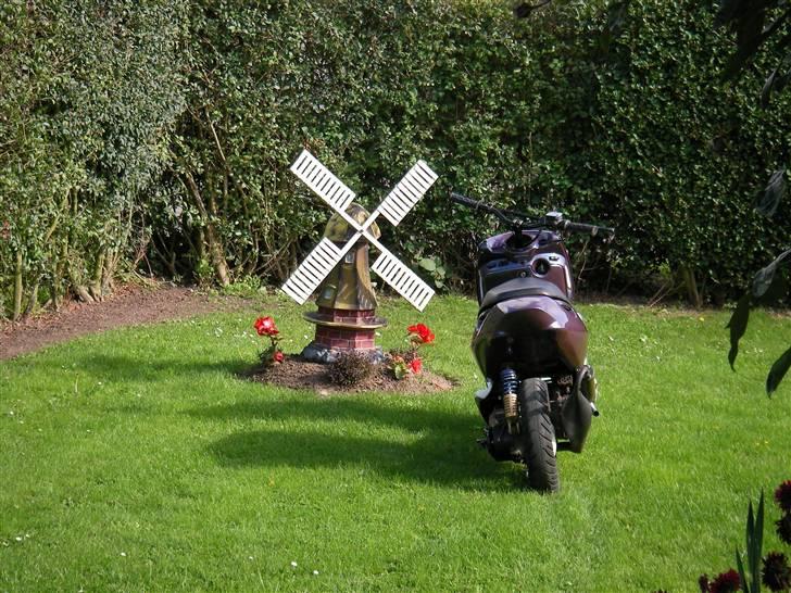 Aprilia Sonic SOLGT billede 1