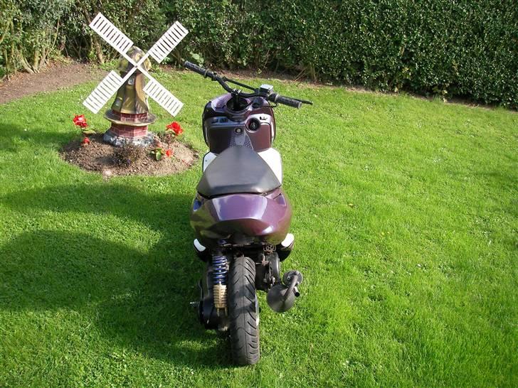 Aprilia Sonic SOLGT billede 4