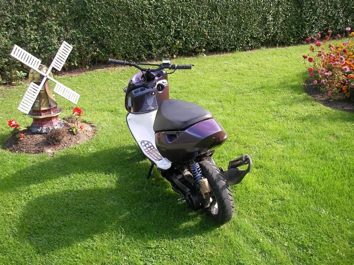 Aprilia Sonic SOLGT billede 5