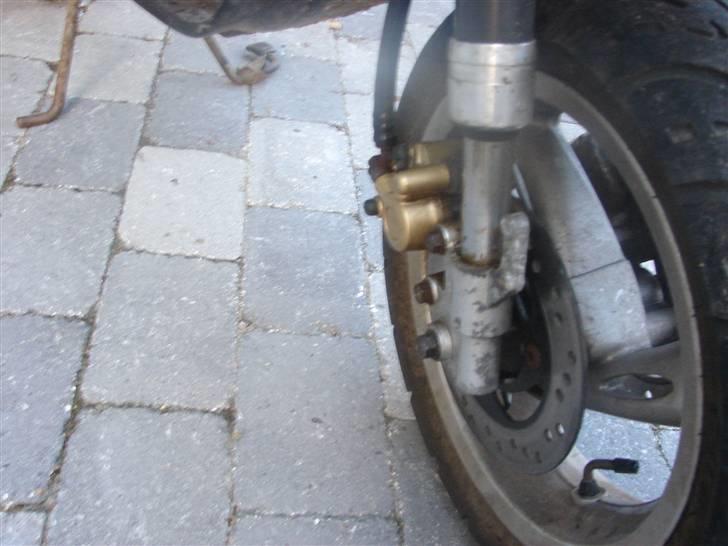 Adly Cat50 solgt billede 3