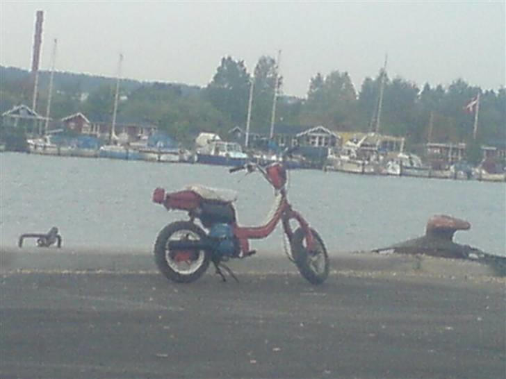 Suzuki FZ (Før) Solgt billede 2