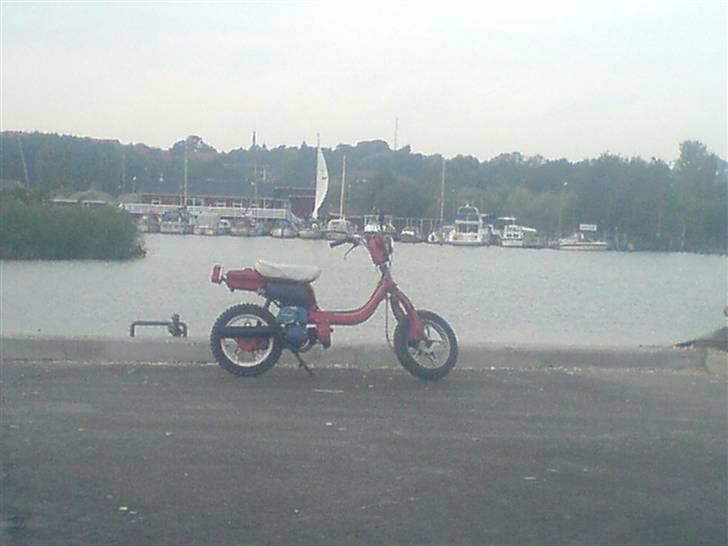 Suzuki FZ (Før) Solgt billede 3