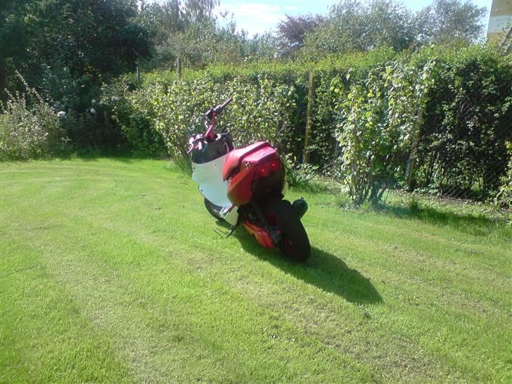 PGO Dr.Big | TILSALG | billede 9