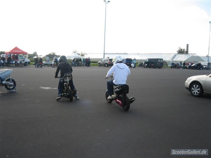 Suzuki FZ LC TS2 SOLGT billede 2