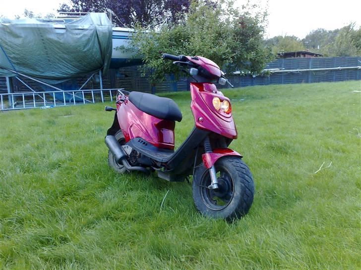 PGO Hot 50 solgt billede 8