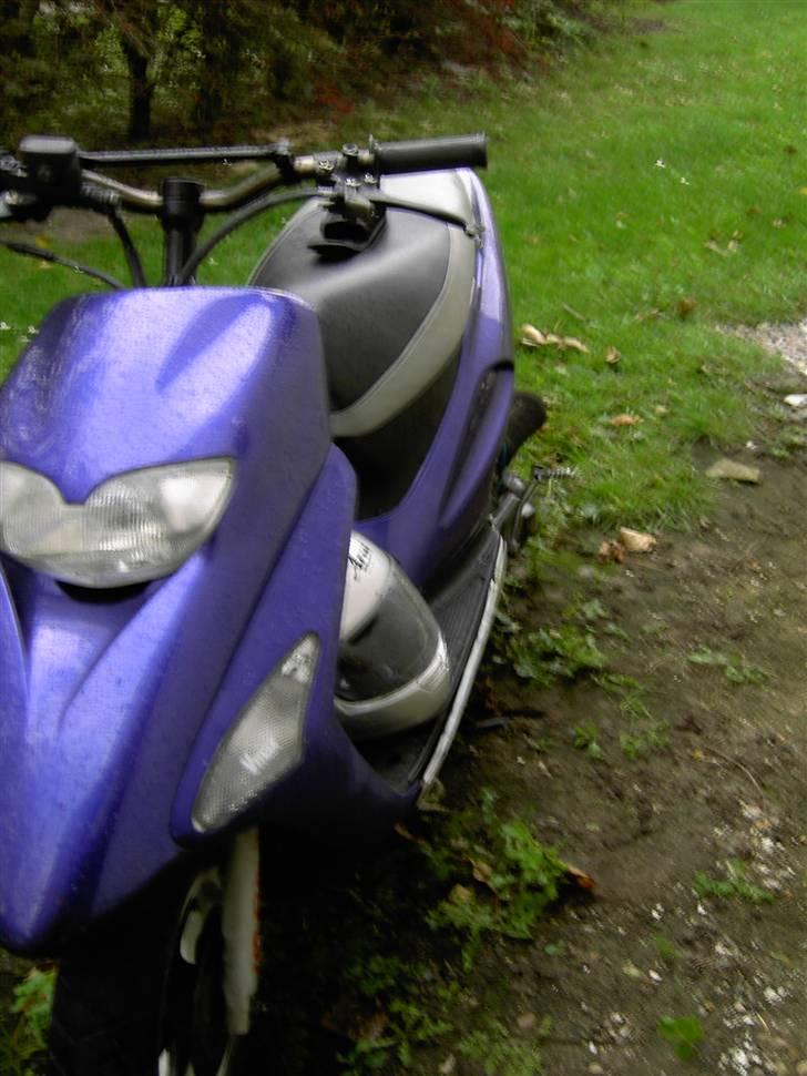 Honda sfx//solgt// billede 5