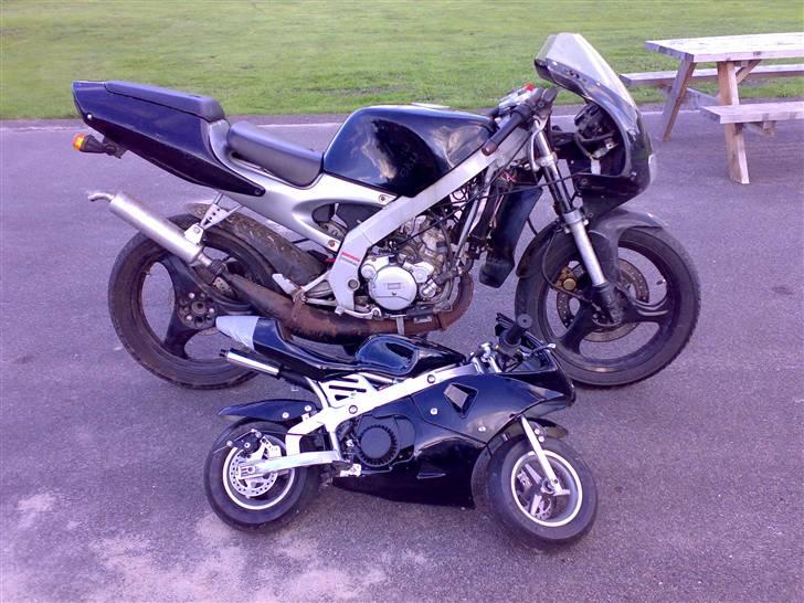 MiniBike 49 cc Solgt for 300,- - det er så et billede af min pocketbike, og jonas RS50, den er noget større end min pocketbike. billede 13