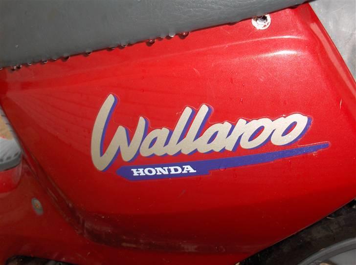 Honda wallaroo billede 2