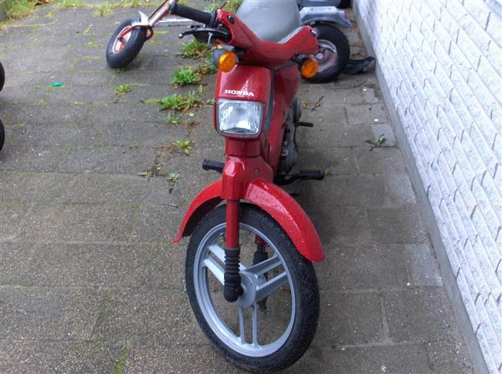 Honda wallaroo billede 3
