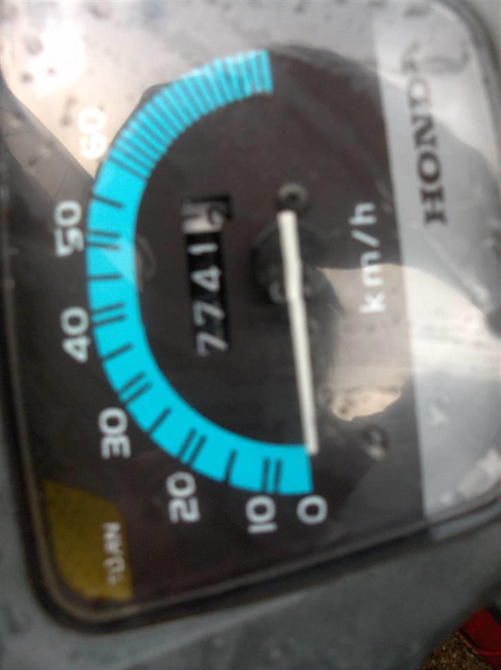 Honda wallaroo billede 4