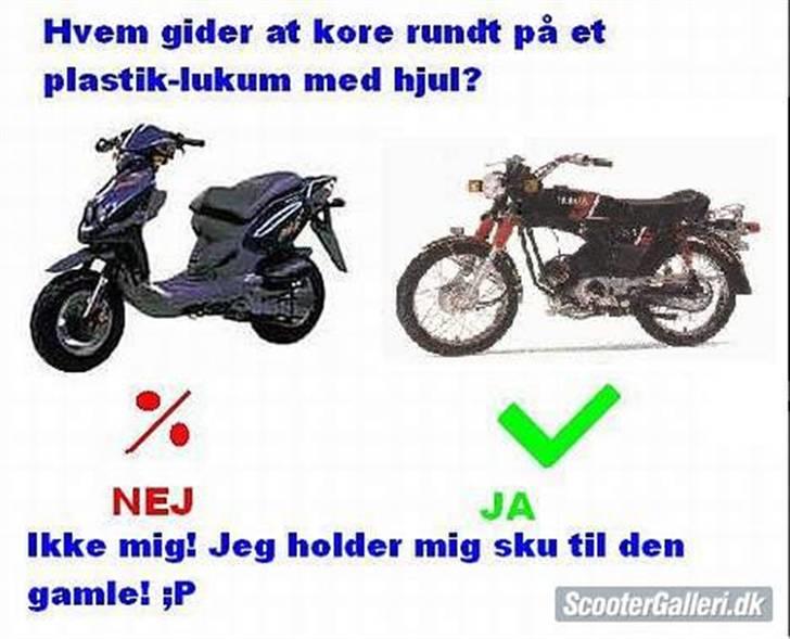 Puch Maxi P  Solgt d. 10 Aug. - Det er min mening billede 9