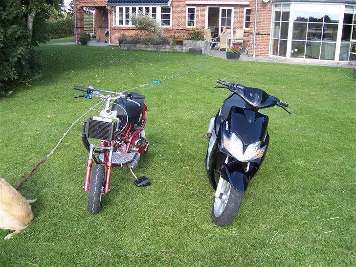 Yamaha jog r solgt billede 18