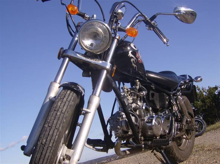 Regal Raptor ( Byttet  ) - Ornli´ syg =P  billede 1