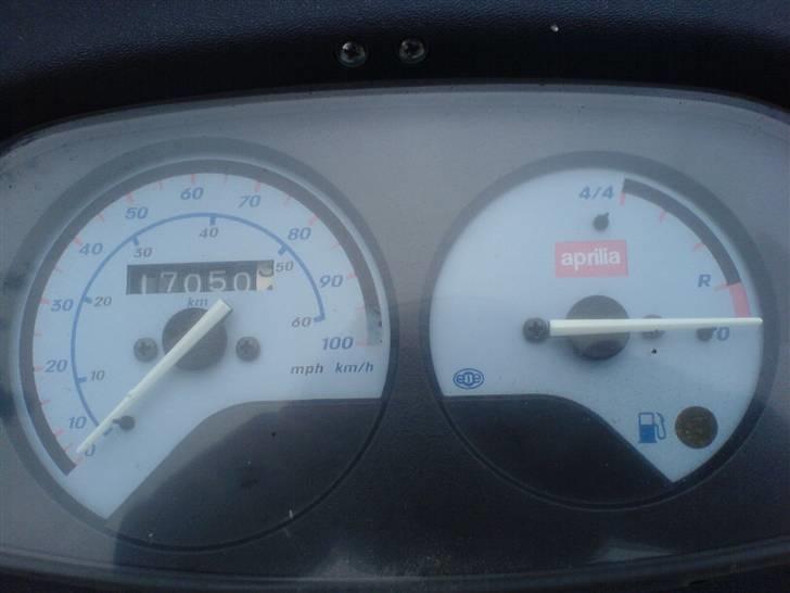 Aprilia rally  billede 6