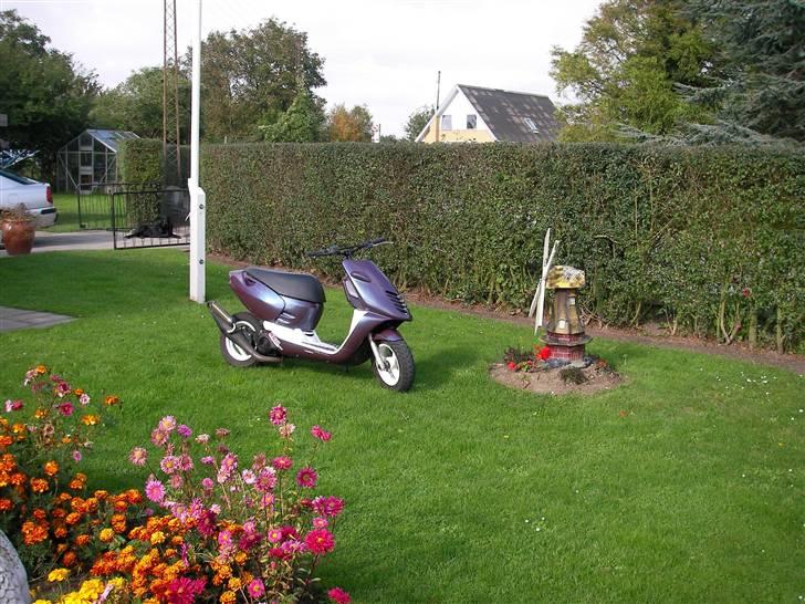 Aprilia Sonic SOLGT billede 17