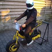 Suzuki Fz/Piaggio.•'Rj 