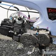 Honda Dax Loud'n'fast - solgt 