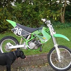 Kawasaki kx 85