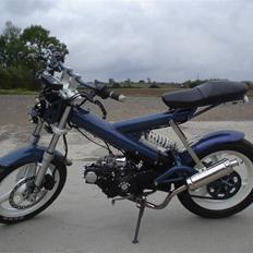 Sachs Madass, Kamæleon! SOLGT:(