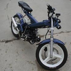 Sachs Madass, Kamæleon! SOLGT:(