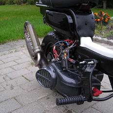 Suzuki Fz 50/jog (90%) EVO AC