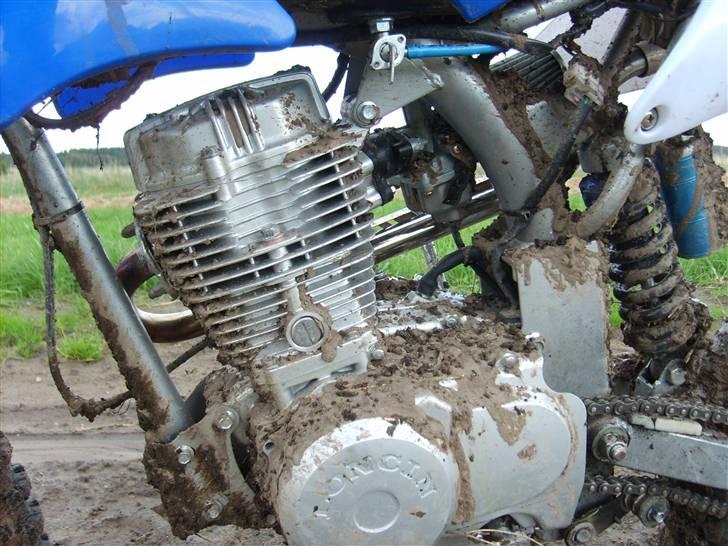 MiniBike crosser DØD:( billede 7