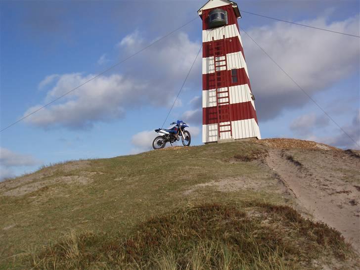 Suzuki RMX - MONA - F billede 5