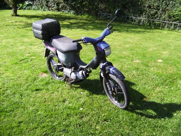 Honda welleoo smidt ud billede 2