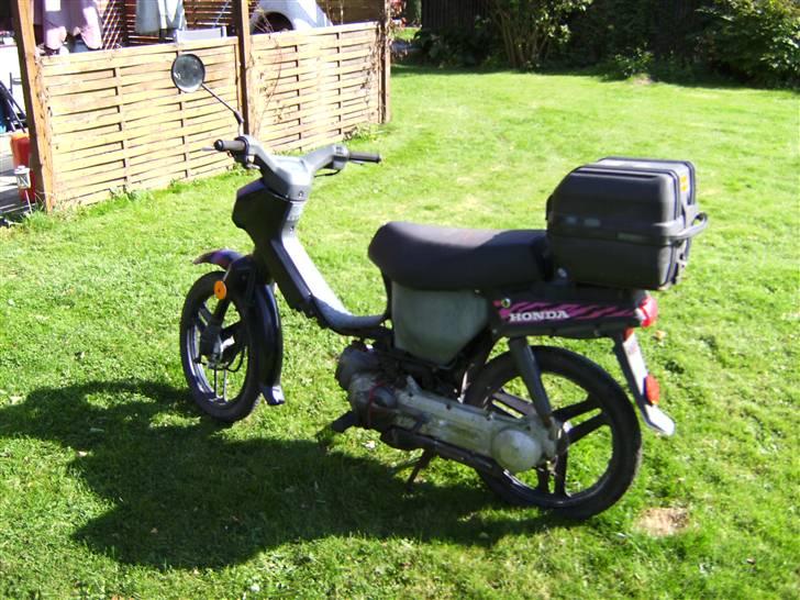 Honda welleoo smidt ud billede 4