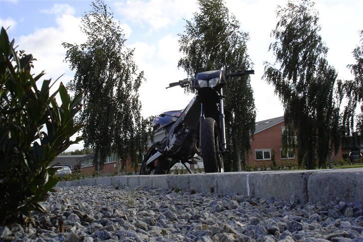 Derbi senda SM50.  SOLGT. billede 16