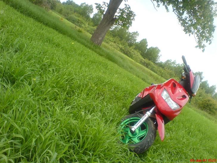 CPI Popcorn (SOLGT) billede 11