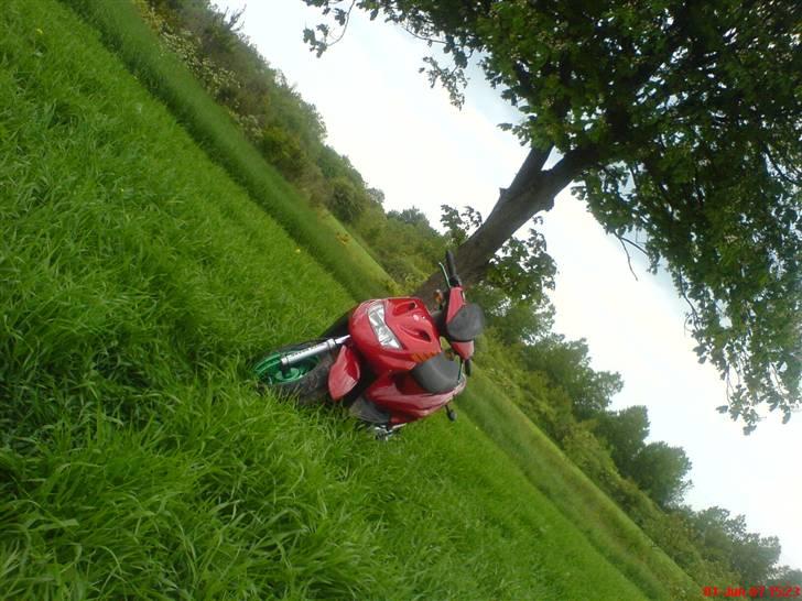 CPI Popcorn (SOLGT) billede 12