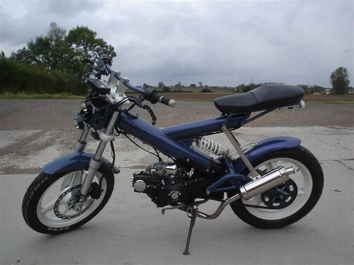 Sachs Madass, Kamæleon! SOLGT:( billede 2