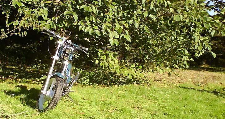 Sachs Madass, Kamæleon! SOLGT:( billede 4