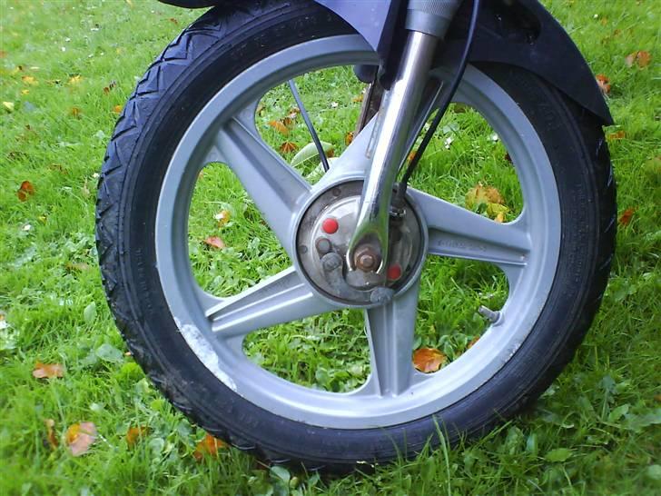 Puch Maxi P1 *solgt* billede 14