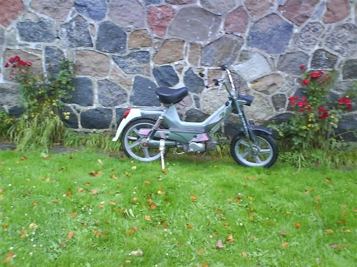 Puch Maxi P1 *solgt* billede 15